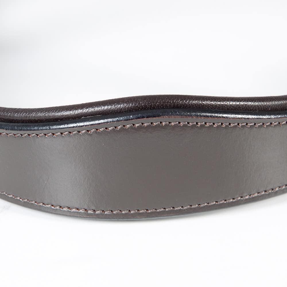 Briglia galoppo In Biothane Marrone