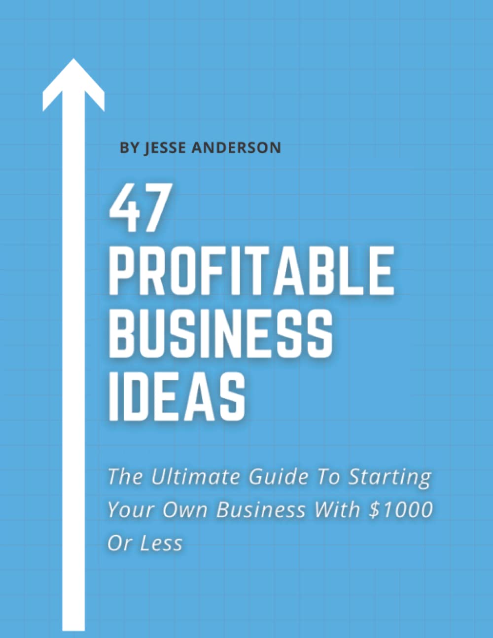 47 Profitable Small Business Ideas You Can Start With 00 Or Less: The Ultimate Guide to Starting Your Own Business and Making Six Figures (or More) … 00 or Less (How to Start Your Business)