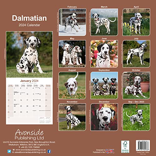 Dalmatian Calendar 2024 - Image 2