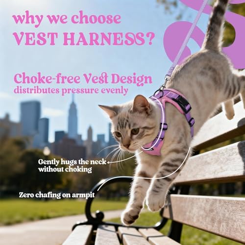 Image of rabbitgoo Cat Harness and Leash Set, Escape Proof Vest, Pink & Light Purple | Soft Breathable Mesh, Easy Adjustable Fit, Snap Buckles, Sturdy Clip, Reflective Strips, for Small & Average Cats Walks, Xs