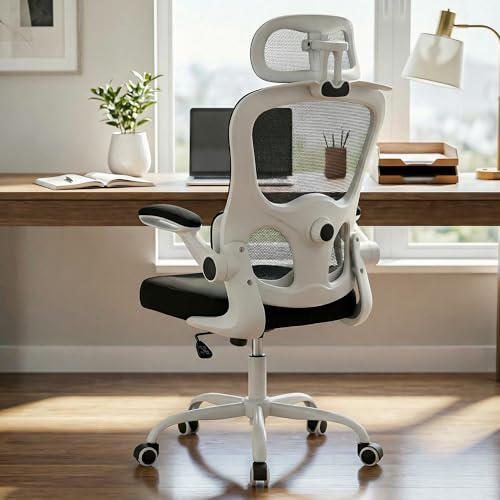 Image of DROGO Aerofly Premium Ergonomic Office Chair for Work from Home, 2D Headrest, High Back Computer Chair with Mesh, Flip-up Armrest, Recline,Adjustable Lumbar Support, Mesh Chair for Office(White Black)