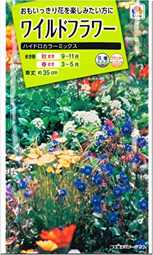【人気種子】まとめ売り Amazon.co.jp: ワイルドフラワー 種子 ハイドロカラーミックス 15ml