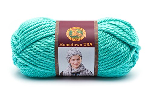 Lion Brand Yarn 135-112 Hometown Yarn, Miami Sea Foam (1 Skein)