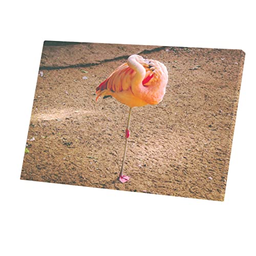 Tableau flamand rose pour embellir un mur vide de salon