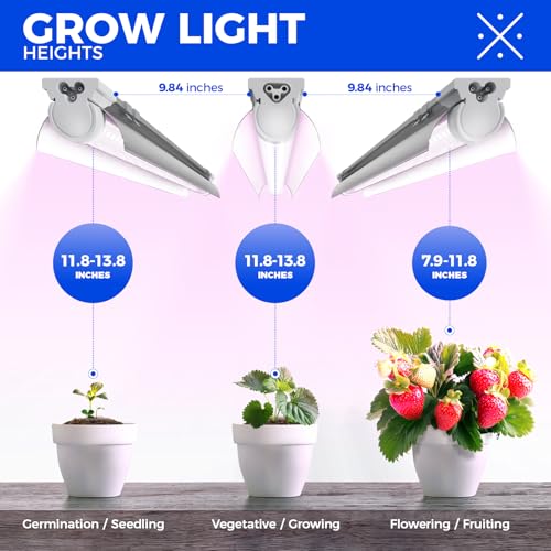 Image of Barrina LED Grow Lights, Full Spectrum, 180W(6 x 30W, 1000W Equivalent), 3ft Grow Light Strips, T8 Grow Light Bulbs, Plant Lights for Indoor Plants, Greenhouse, Pinkish White, Linkable Design, 6-Pack