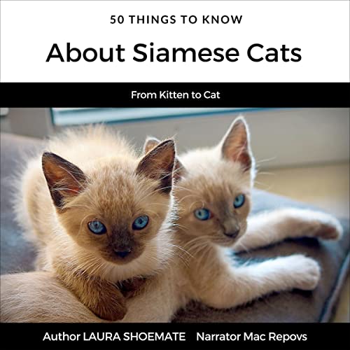 50 Things to Know Siamese Cats by Laura Shoemate episode artwork
