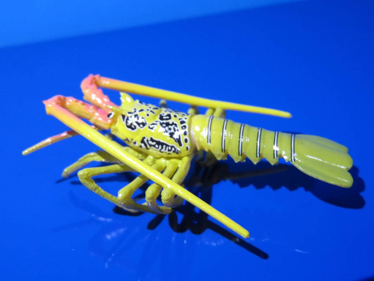 Amazon.co.jp: 伊勢海老：マスコットコレクション/ゴシキエビ : 食品