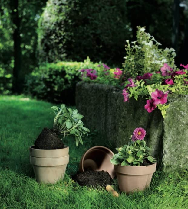 KOTARBAU® Set of 4 Terracotta Mocha Flower Pots Diameter 11 cm Planter with Rim for Indoor Use and Gardens - Image 3