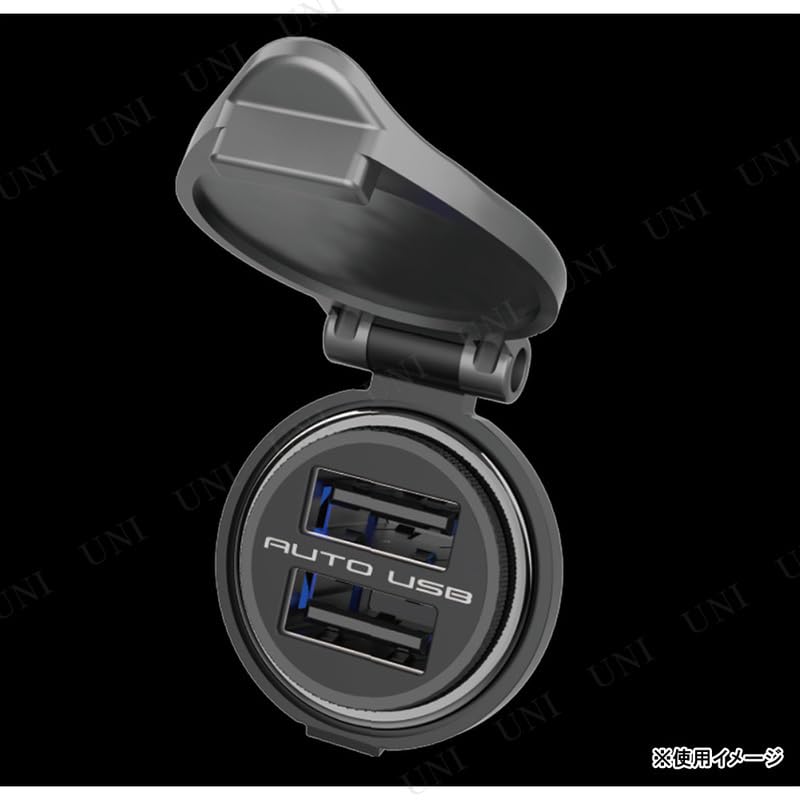 Amazon | カシムラ（Kashimura）/DCコンパクトUSB2ポート 品番：DC-047