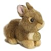 Aurora adorable miyoni tots baby bunny stuffed animal lifelike detail cherished companionship brown 7 inches  urban country home decor