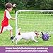 HETOO Hundeball Hundespielzeug Ball mit Griff für Hund Interaktives Schleppen von Krieg Wasser Hundebälle Spielzeug Geburtstagsgeschenk für Mittel/Große Hunde (6 Zoll Lila Blau)