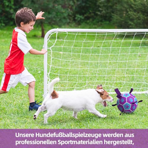HETOO Hundeball Hundespielzeug Ball mit Griff für Hund Interaktives Schleppen von Krieg Wasser Hundebälle Spielzeug Geburtstagsgeschenk für Mittel/Große Hunde (6 Zoll Lila Blau)