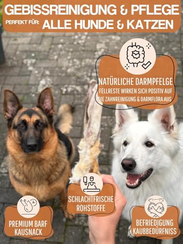 WEPO Kaninchenohren mit Fell für Hunde - 1kg getrocknete Kaninchen Ohren - Hasenohren für Hund & Katze - Rabbit Ears as Dog Treats (1kg-Vorteilspack)
