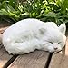 Lifelike White Sleeping Cat Figurine - Realistic Curled Up Faux Fur Kitten Statue, Handcrafted Plush Kitty Home Office Decor, Collectible Gift for Cat Lovers, Stuffed Animal Doughnut Pose Pet Replica
