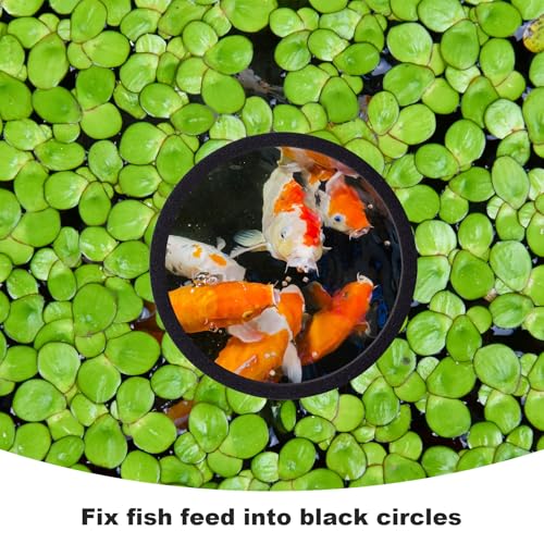 Image of PAGOW 10pcs Fish Feeding Rings Set, Floating Aquarium Plant Corral, Round Fish Feeder Rings for Fish Tank, Floating Plant Ring, Fish Tank Aquarium Accessories for Betta (Black)