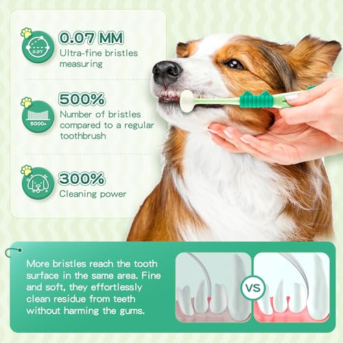 View 4