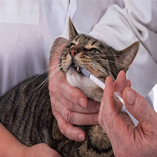 100pcs 1ml 1cc syringe no needle plastic syringe for pets oral refilling oil or glue applicator measuring or transfering tiny amount of liquids without cap
