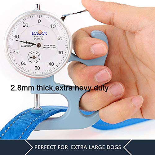 Image of Pioneer Petcore Dog Leash 6ft Long,Traffic Padded Two Handle,Heavy Duty,Reflective Double Handles Lead for Control Safety Training,Leashes for Large Dogs or Medium Dogs,Dual Handles Leads(Sky Blue)