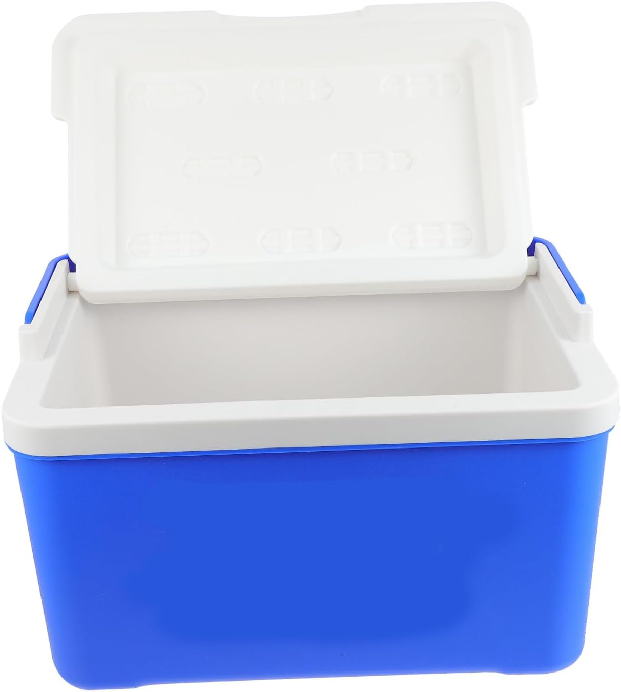 VICASKY Insulated Portable Cooler Box for Picnic Large Cooler Basket Leak Lunch Bag Insulated Picnic Basket