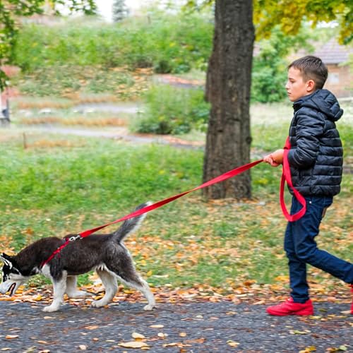 12 Pcs Dog Leash Bulk 5ft Puppy Leashes 12 Colors Dog Training Leashes for Small Medium Puppy Training, Walking, Camping, Play Backyard