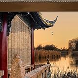 *Application: It is an ideal choice for home decoration, easy to combine with different styles including traditional, casual and modern styles, such as balcony, villa, outdoor pavilion, garden, courtyard, roof.