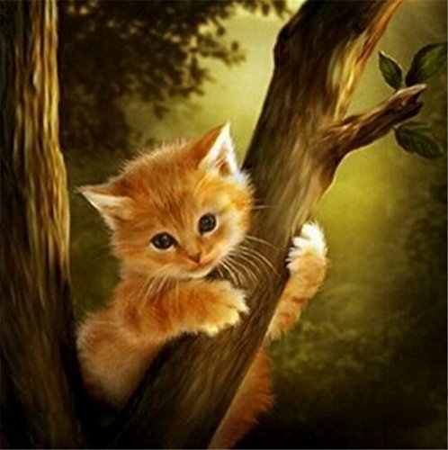 Yeesam Art New 5D Diamond Painting kit - Kitten