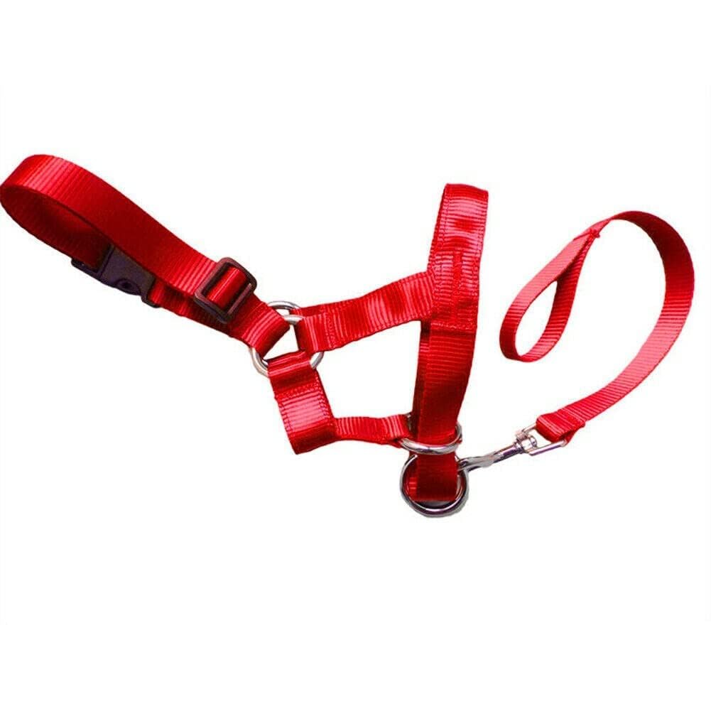 Pet Dog Head Collar Gentle Halter Leash Leader for Training Mouth Muzzle Adjustable (XL) (B0DFC4WW8C) Amazon Price History, Amazon Price Tracker