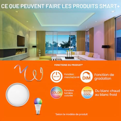 Prise commutable WiFi LEDVANCE Smart + avec compteur de consommation compatible Alexa