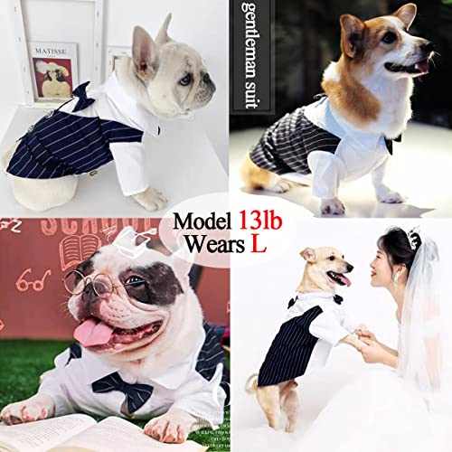 Disfraz de esmoquin para perros talla XL azul miniatura 3