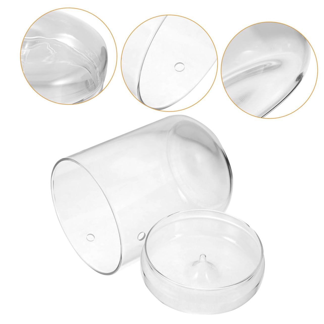 DECHOUS Terrario in Vetro per Ecosistema di Muschio, Vaso Decorativo Leggero e Resistente, per Scrivania e Soggiorno, per Piante e Fiori