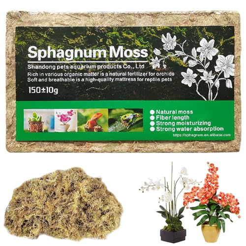 Musgo Sphagnum para Plantas 150 g Musgo Vegetal Seco Natural Compresa Sphagnum Fibra Larga Orquídea para Trasplantar Orquídeas Suculentas Sarracenia Plantas en Maceta Orquídea M