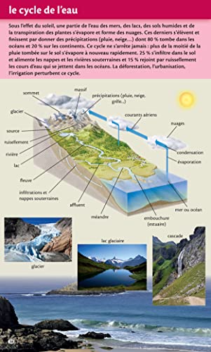 Dictionnaire Le Robert junior Poche - 7/11 ans - CE-CM-6e Broché – 16 avril 2020 – Image 7