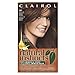 Clairol Natural Instincts, 5W / 20B Cinnamon Stick Medium Warm Brown, Semi-Permanent Hair Color, 1 Kit (Pack of 3)