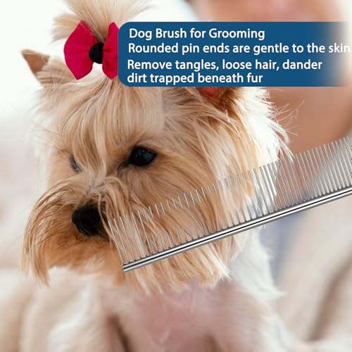 3 Stück Edelstahl Hundekamm Hunde Kamm Zur Fellpflege Tierkamm Für Katzen Hundekämme Stahlkamm Zur Hundepflege Feinzahniger Kamm Katzenkamm Für Verfilztes Haar Metallkamm Für Haustiere(19cm)