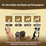 VERGLEICHSSIEGER 2024 Hunde Gelenktabletten mit Grünlippmuschel Hund MSM & Teufelskralle Glucosamin & Kollagen 125 Kapseln Hunde Leckerlis – Bild 2