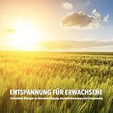 Entspannung für Erwachsene. 15 bewährte Übungen zur Stressbewältigung, Gesundheitsvorsorge und Entspannung: Runterkommen, Loslassen, Schlaf finden