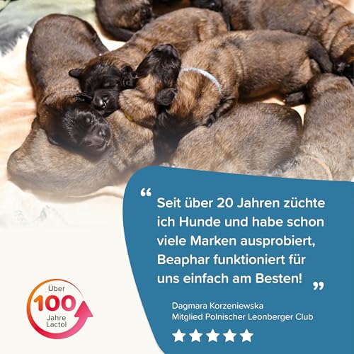 BEAPHAR - Lactol Aufzucht-Milch - Fûr Hundewelpen - Von Geburt An - Muttermilchersatz Mit DHA, Vitaminen Und Mineralien - Unterstützt Gesunde Aufzucht Und Stärkung - 500 g