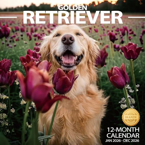 2026 Wall Calendar Golden Retriever Planner Calendar, Hangable Monthly Wall