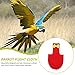 Ipetboom Bird Diaper for Parrots and Birds Washable Suit for Parakeets Cockatiels and Pigeons Breathable Design Cute Bow Decoration