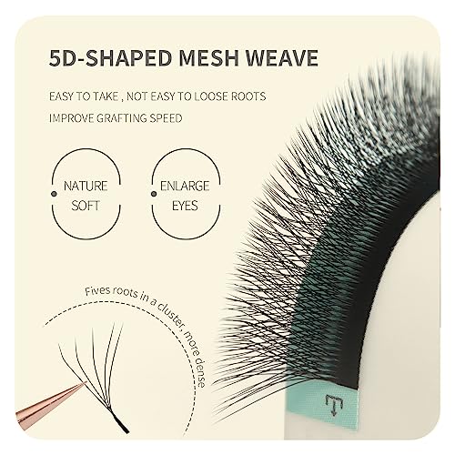 ANNAFRIS Premade Fan Lash Extension 5D W 0.07 C Curl 12mm Pre Made Russian Volume Eyelash Hand Woven Lash Soft Faux Mink False Lashes(5D,W,0.07,C Curl,12mm) - Image 2