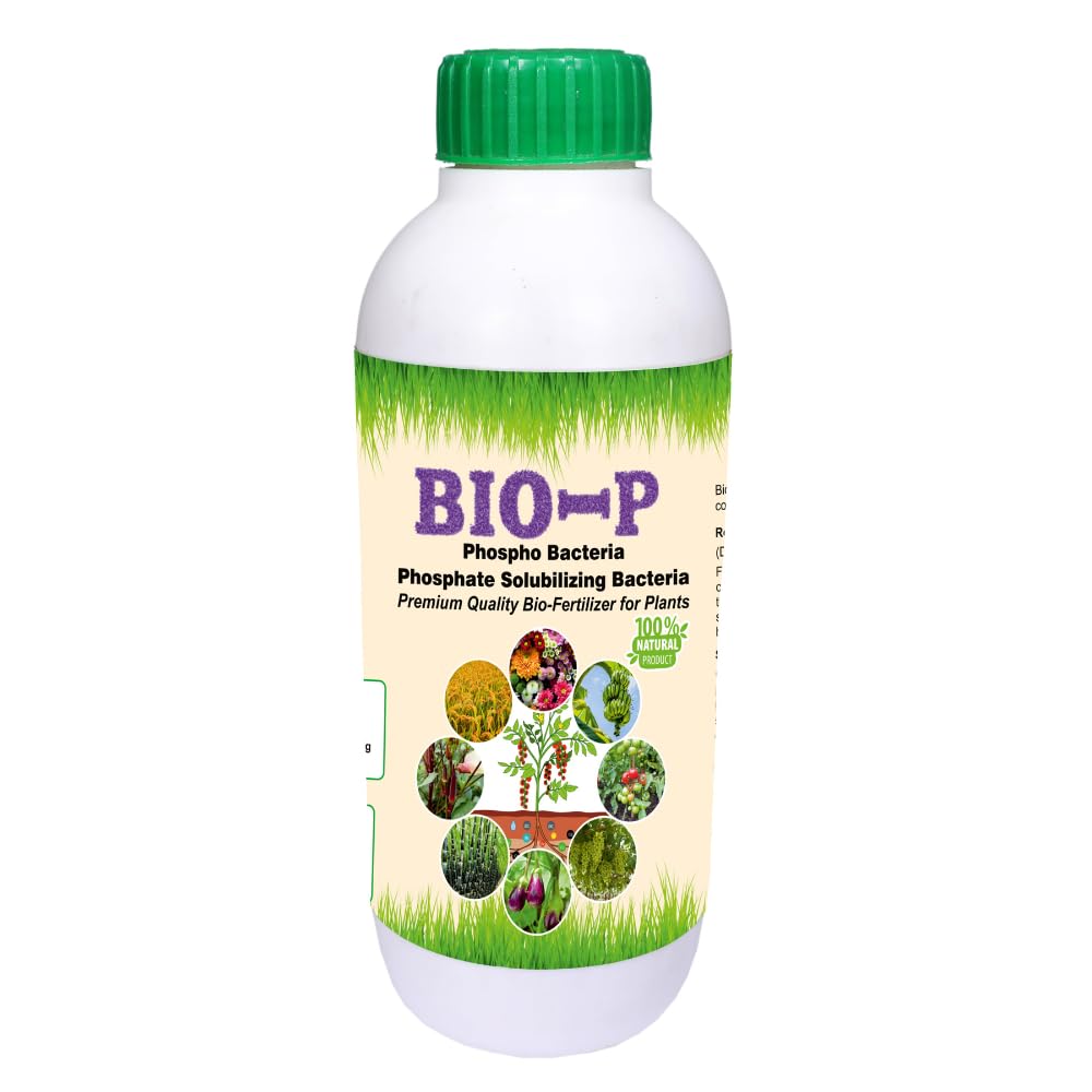 THE WET TREE Phosphobacteria | Bio-P Liquid Bio Fertilizer & Growth Promoter for Plants (500 ml) | Solubilizes Phosphorous