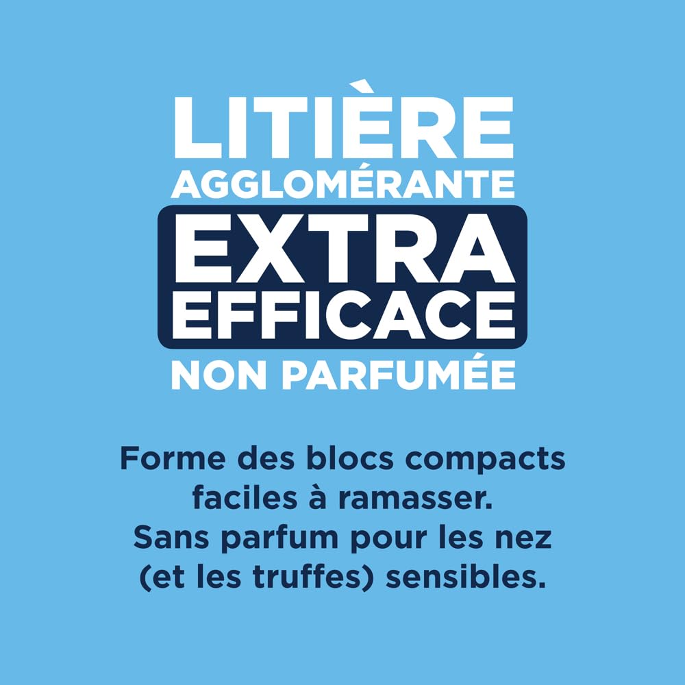 Ever Clean pour Chat Extra Agglomérante Non Parfumée