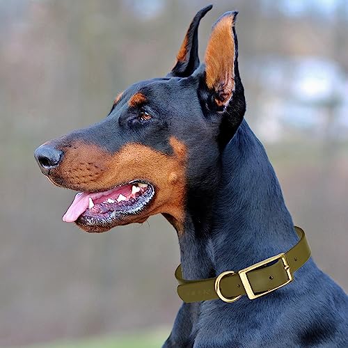 Image of Viper Biothane Heavy Duty Waterproof Dog Collar Strong Coated Nylon Webbing w /Solid Brass Hardware Odor-Proof Easy to Clean High Performance Fits Small Medium or Large Dogs, Olive Drab Green