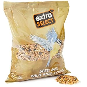 Extra Select Wild Bird Seed Mix with Black Sunflower Seeds, Wheat, Dari, Millet Seeds – Nutrient Rich Wild Bird Food for Small Birds – 1kg