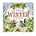 Winter In The Forest Deluxe Lift-a-Flap & Pop-Up Seasons Children's Board Book (Lift-a-flap Surprise)