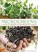 Microgreens: A Guide To Growing Nutrient-Packed Greens