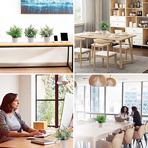 Outlee 3 Pack Mini Artificial Potted Plants Faux Eucalyptus Plants Boxwood Rosemary Greenery In Pots Small Houseplants For Home Decor Office Desk Shower Room Decoration #TOP6
