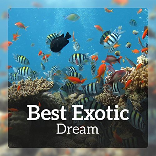 Best Exotic Dream (Tropical Journey, Island of Relaxation, Wild Jungle, Amazonian