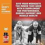 Strong Garcinia Cambogia Extract Capsules with 60% HCA - Non-Stimulant Garcinia Cambogia Weight Loss Supplement with Hydroxycitric Acid & Chromium for Balance, Energy & Metabolism Support - 60 Count - Image 4