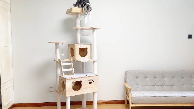 Amazon | PETTIFUL キャットタワー 木製 大型 据え置き おしゃれ